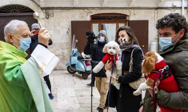 Bari, la "benedizione degli animali": un'antica tradizione nel segno di Sant'Antonio Abate 